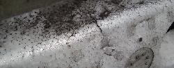 View Auto part F/Bar Reinforc/Brack Toyota Prius 2006